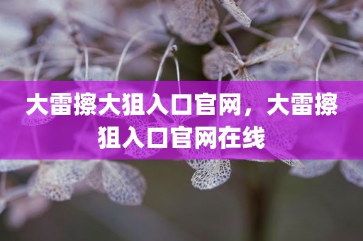大雷擦大狙入口官网，大雷擦狙入口官网在线