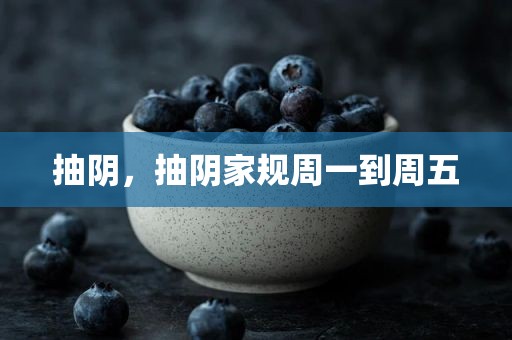 抽阴，抽阴家规周一到周五