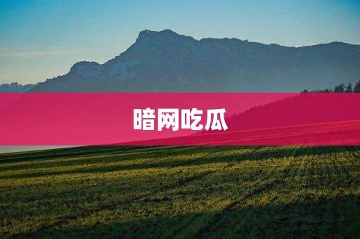 暗网吃瓜