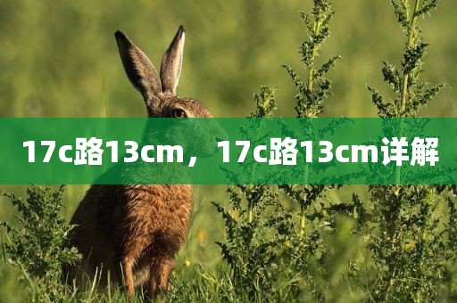 17c路13cm，17c路13cm详解
