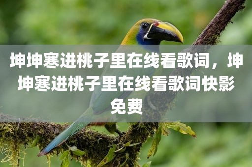 坤坤寒进桃子里在线看歌词，坤坤寒进桃子里在线看歌词快影免费