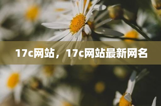 17c网站，17c网站最新网名