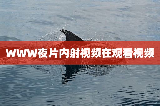WWW夜片内射视频在观看视频