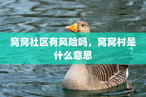 窝窝社区有风险吗，窝窝村是什么意思