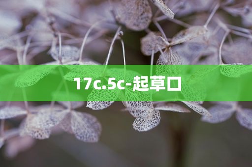 17c.5c-起草口