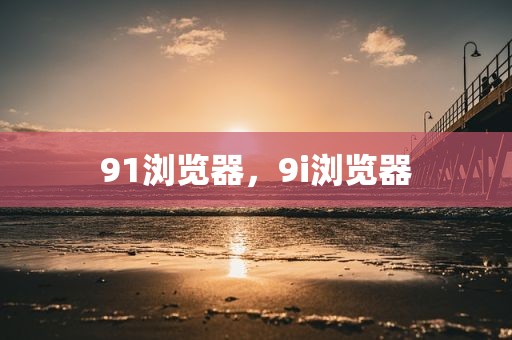 91浏览器，9i浏览器