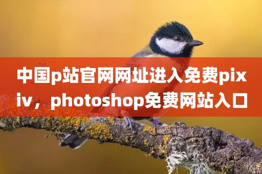 中国p站官网网址进入免费pixiv，photoshop免费网站入口