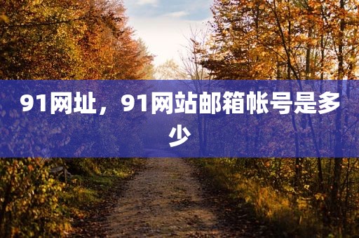 91网址，91网站邮箱帐号是多少