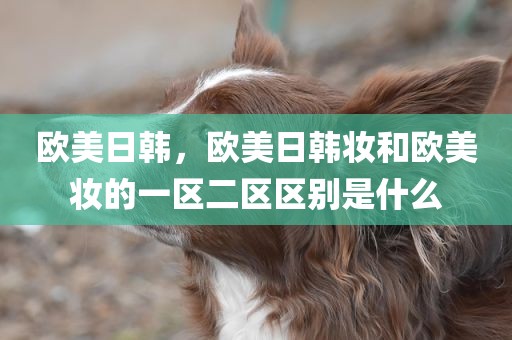 欧美日韩，欧美日韩妆和欧美妆的一区二区区别是什么