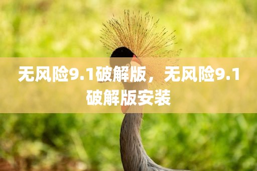 无风险9.1破解版，无风险9.1破解版安装