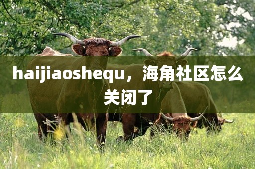 haijiaoshequ，海角社区怎么关闭了
