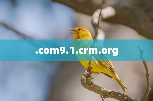 .com9.1.crm.org