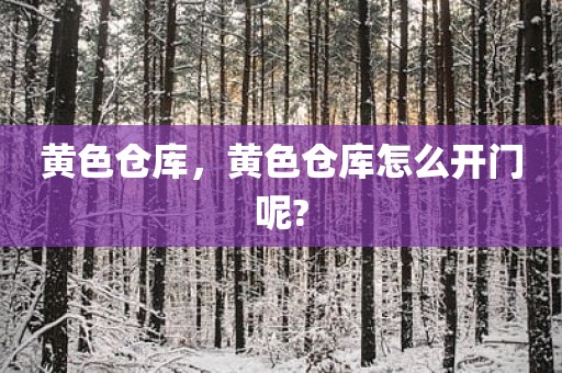 黄色仓库，黄色仓库怎么开门呢?