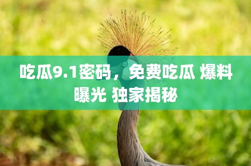 吃瓜9.1密码，免费吃瓜 爆料曝光 独家揭秘