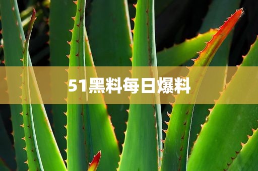 51黑料每日爆料