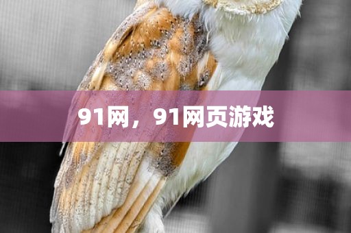 91网，91网页游戏