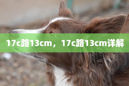 17c路13cm，17c路13cm详解