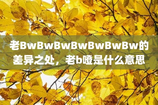 老BwBwBwBwBwBwBw的差异之处，老b噔是什么意思