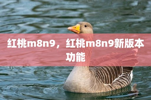 红桃m8n9，红桃m8n9新版本功能