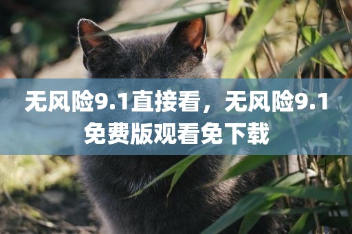 无风险9.1直接看，无风险9.1免费版观看免下载