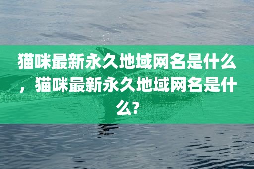 猫咪最新永久地域网名是什么，猫咪最新永久地域网名是什么?