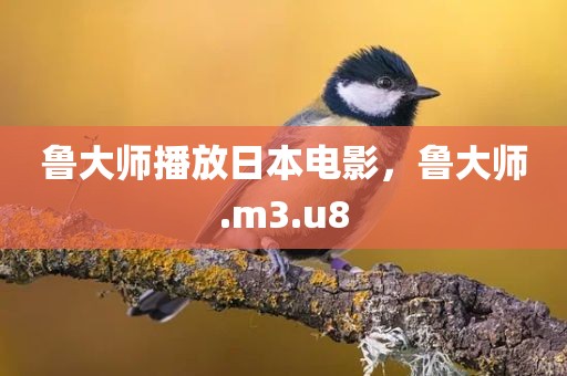 鲁大师播放日本电影，鲁大师.m3.u8