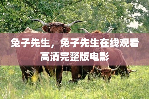 兔子先生，兔子先生在线观看高清完整版电影