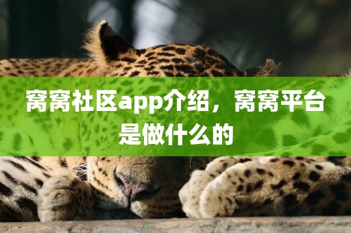 窝窝社区app介绍，窝窝平台是做什么的