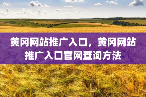 黄冈网站推广入口，黄冈网站推广入口官网查询方法