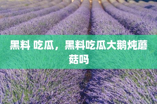 黑料 吃瓜，黑料吃瓜大鹅炖蘑菇吗