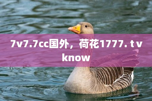 7v7.7cc国外，荷花1777. tⅴknow