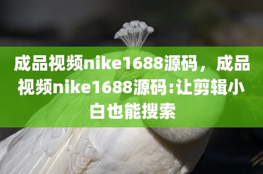 成品视频nike1688源码，成品视频nike1688源码:让剪辑小白也能搜索