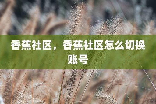 香蕉社区，香蕉社区怎么切换账号