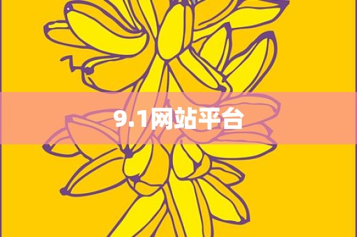 9.1网站平台