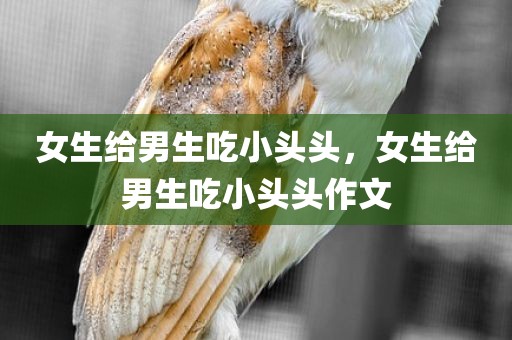 女生给男生吃小头头，女生给男生吃小头头作文
