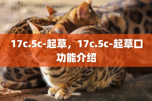 17c.5c-起草，17c.5c-起草口功能介绍