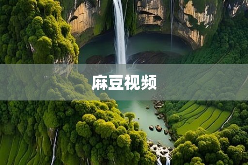 麻豆视频