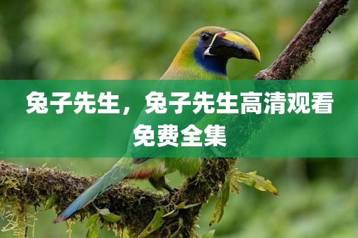 兔子先生，兔子先生高清观看免费全集
