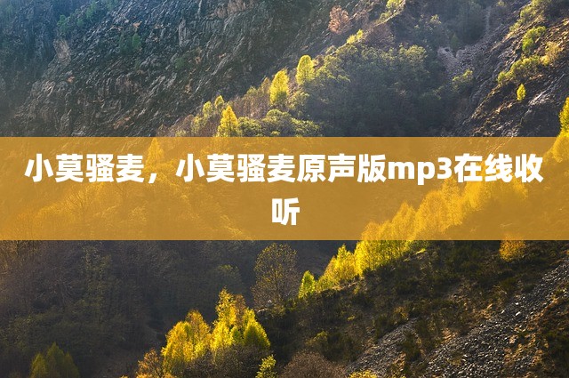 小莫骚麦，小莫骚麦原声版mp3在线收听