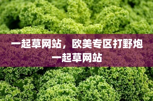 一起草网站，欧美专区打野炮一起草网站