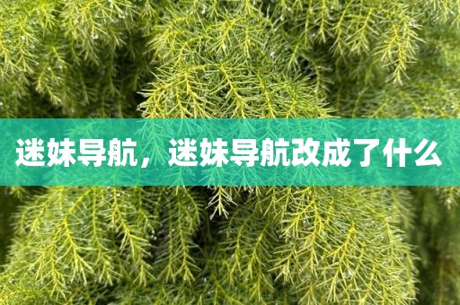 迷妹导航，迷妹导航改成了什么