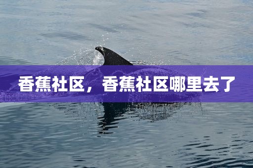 香蕉社区，香蕉社区哪里去了