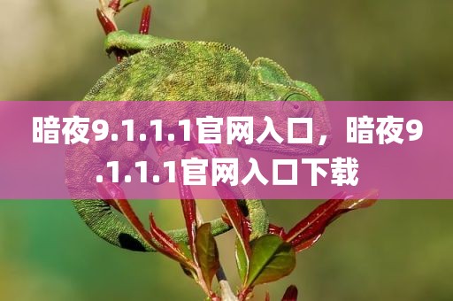 暗夜9.1.1.1官网入口，暗夜9.1.1.1官网入口下载