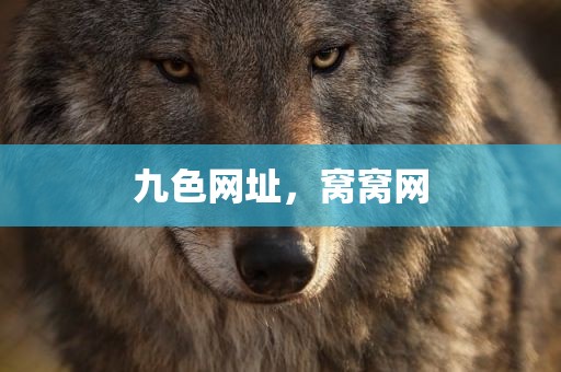 九色网址，窝窝网