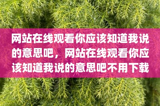 网站在线观看你应该知道我说的意思吧，网站在线观看你应该知道我说的意思吧不用下载