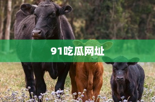 91吃瓜网址