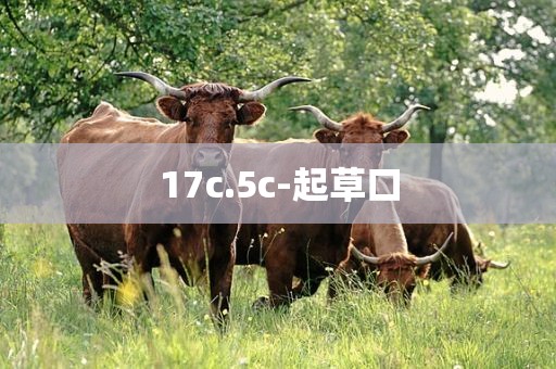 17c.5c-起草口