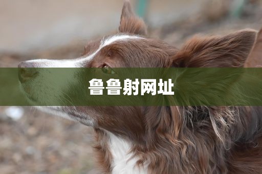 鲁鲁射网址