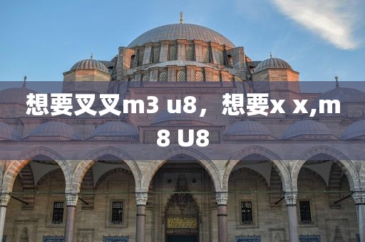 想要叉叉m3 u8，想要x x,m8 U8