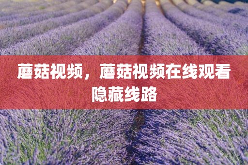 蘑菇视频，蘑菇视频在线观看隐藏线路